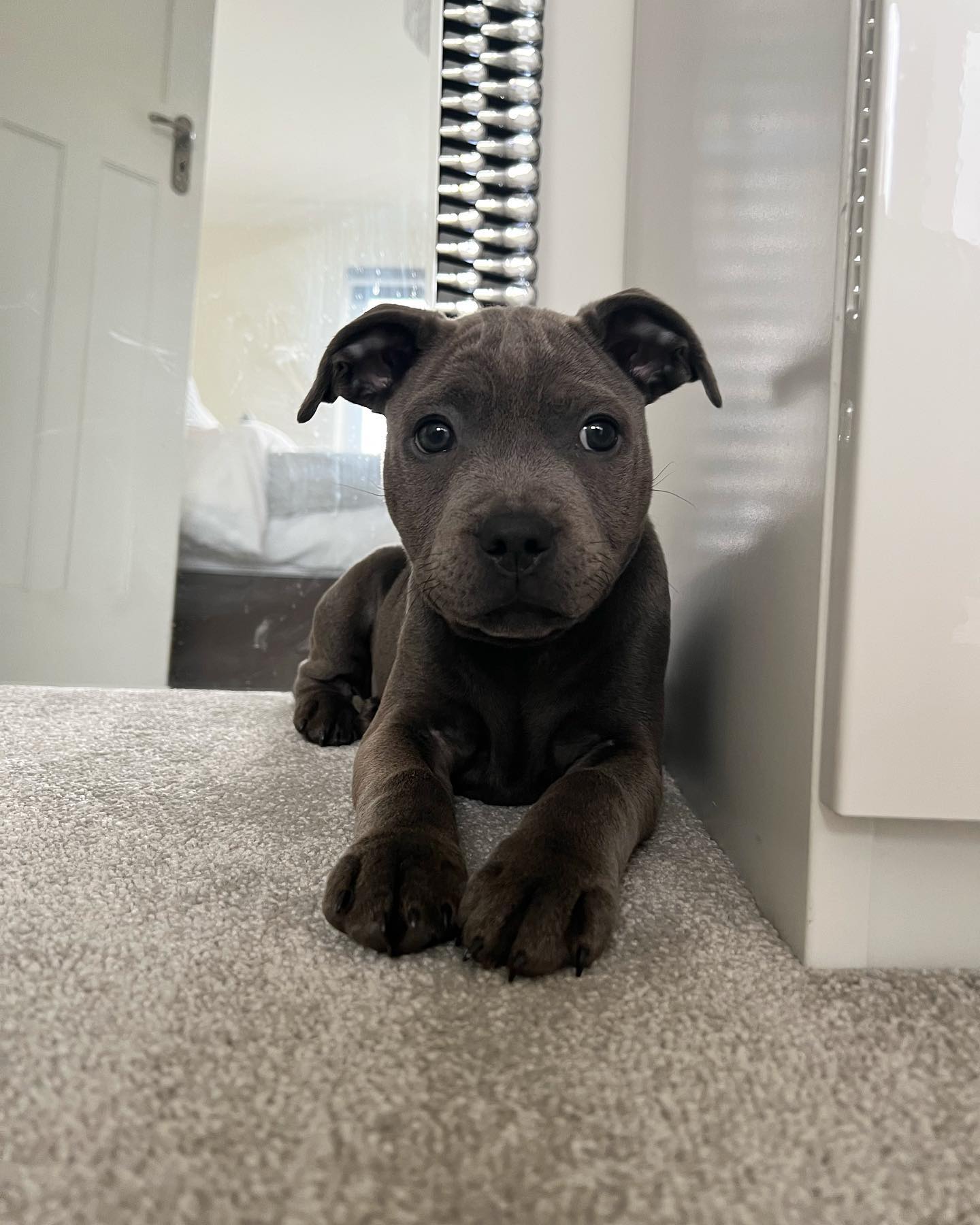 Winnie