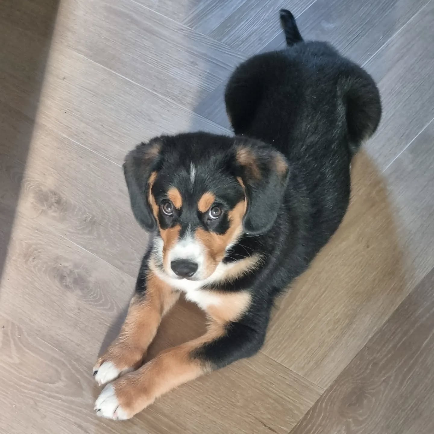 Julie
