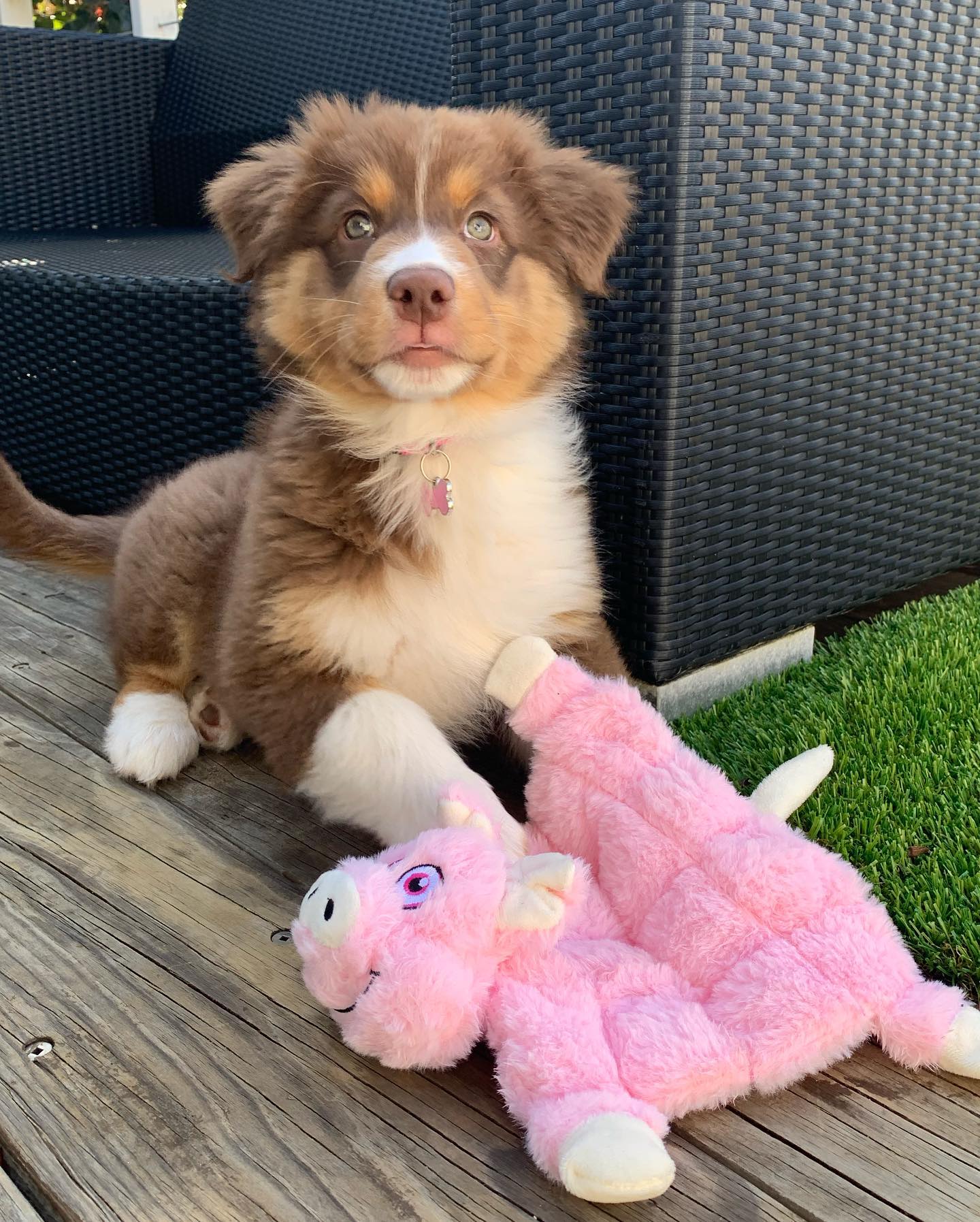 Bowie