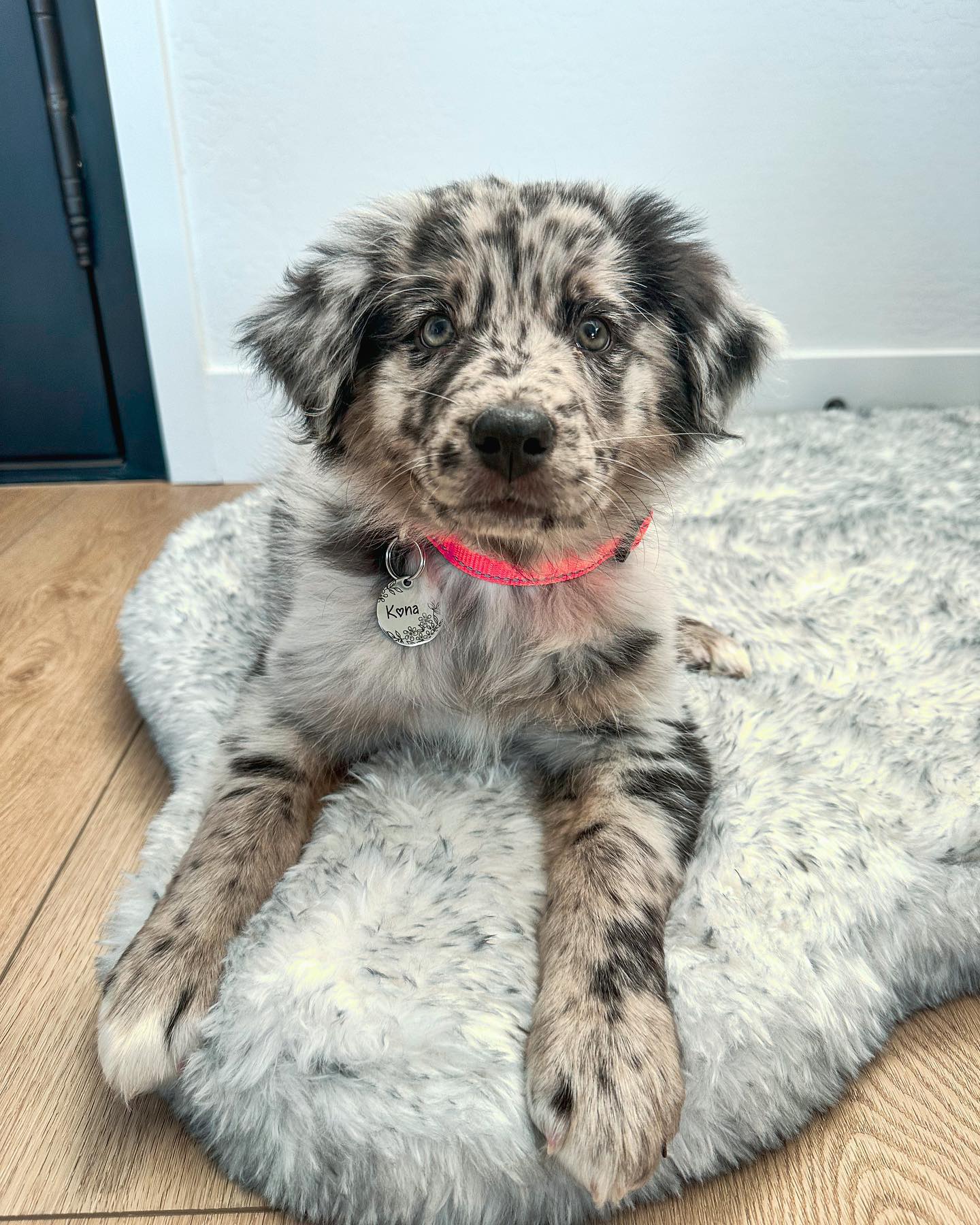 Kona