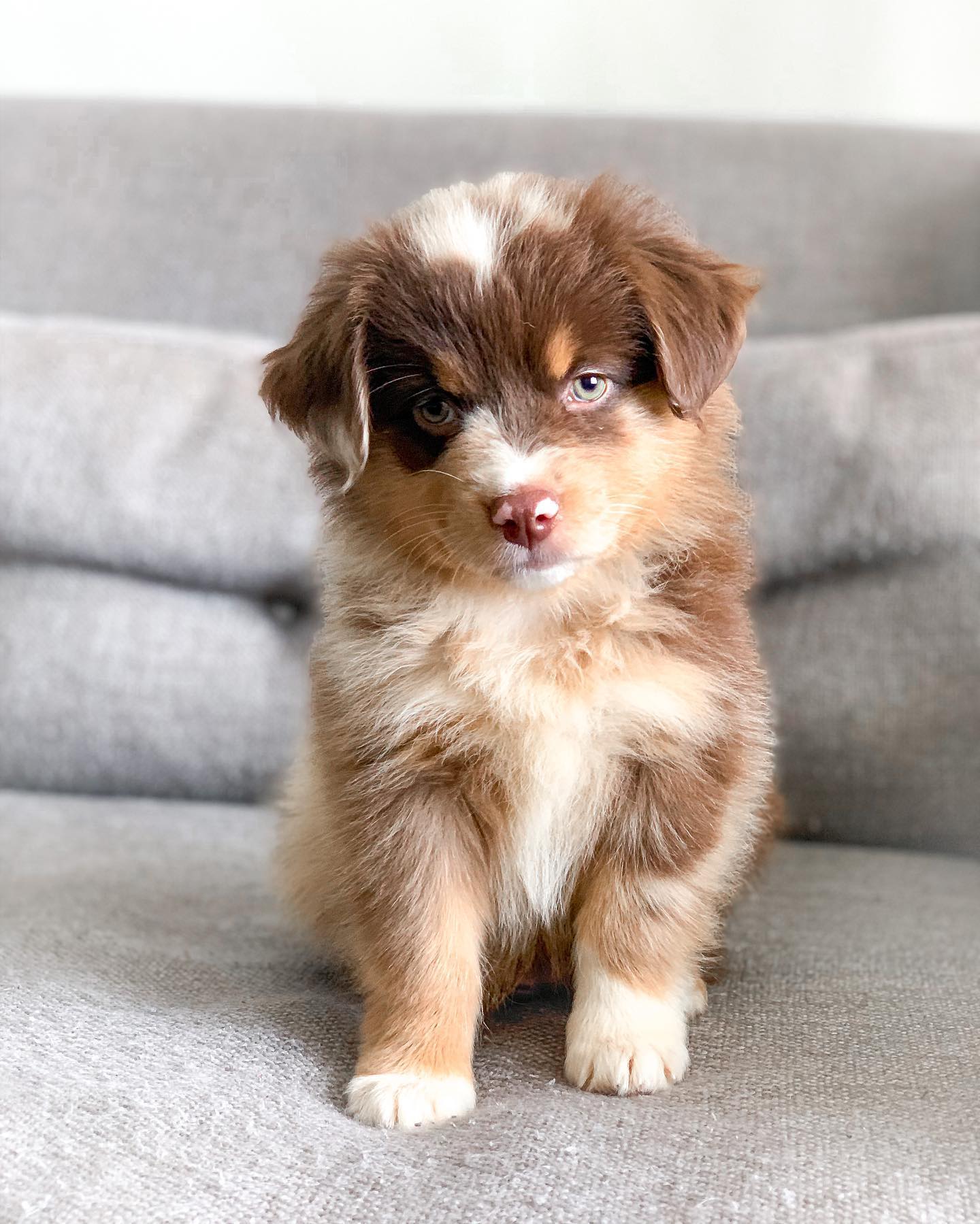 Wiggle