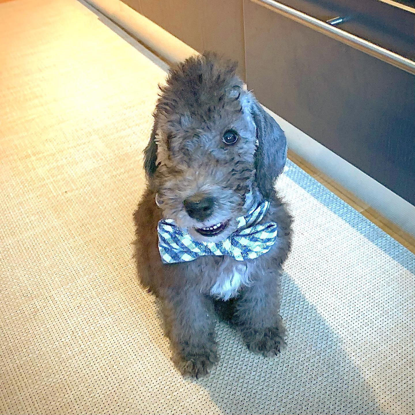Grover