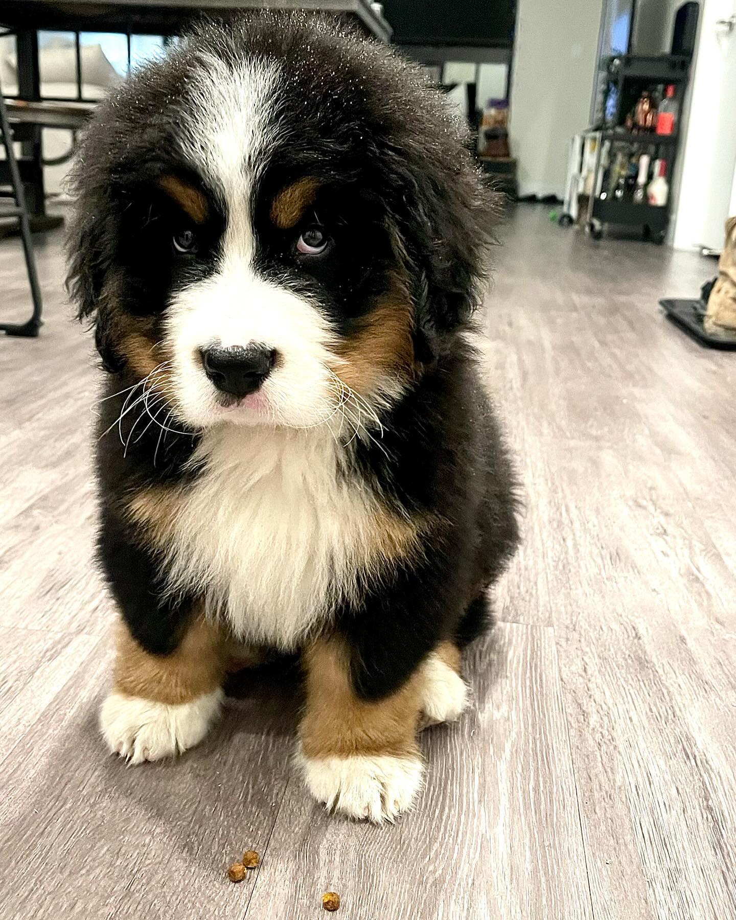 Buster