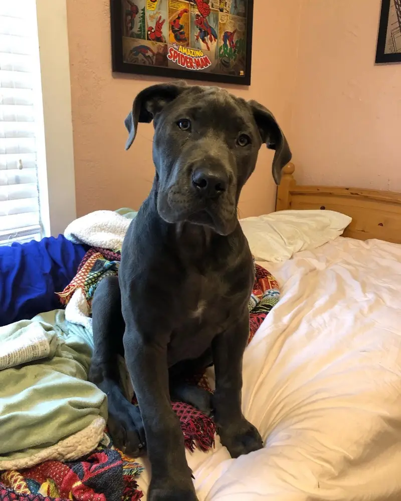Sebastian