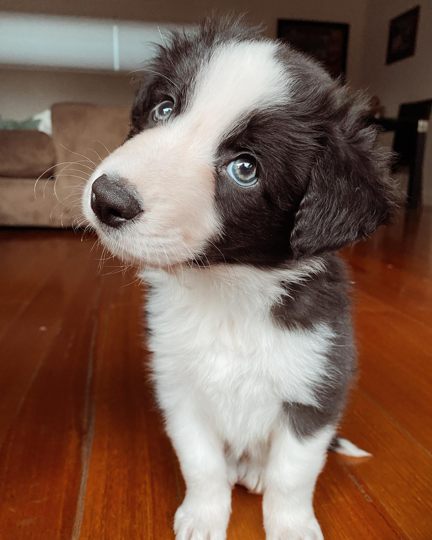 Winnie