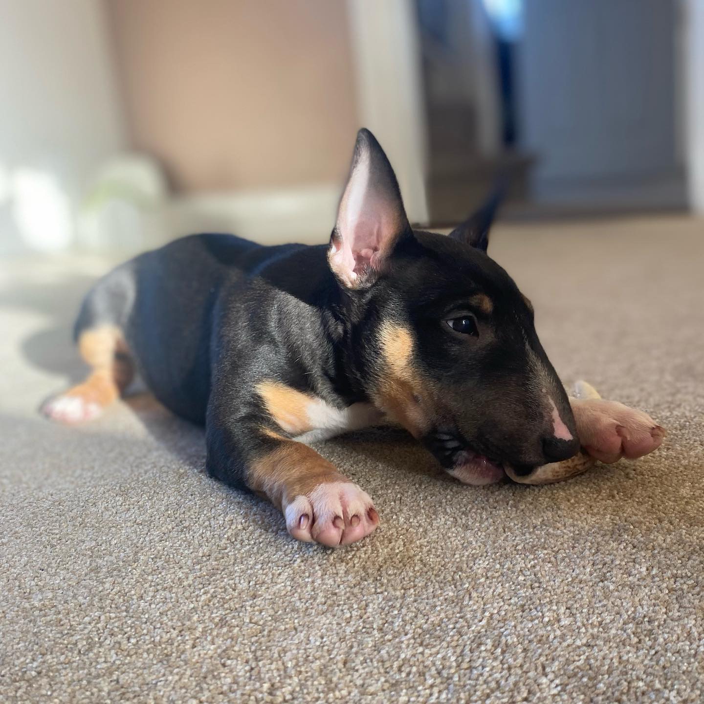Luna