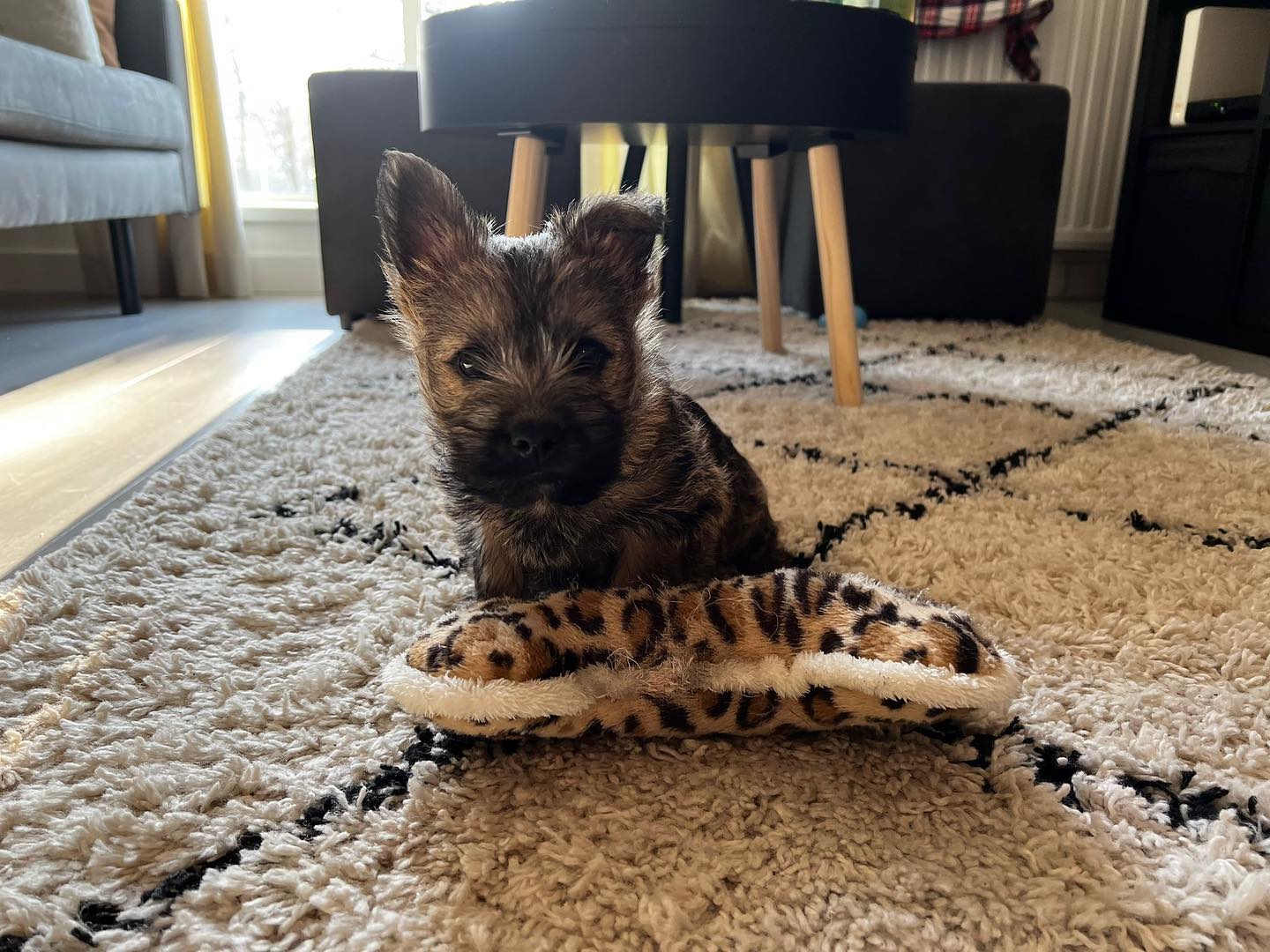 Tobi