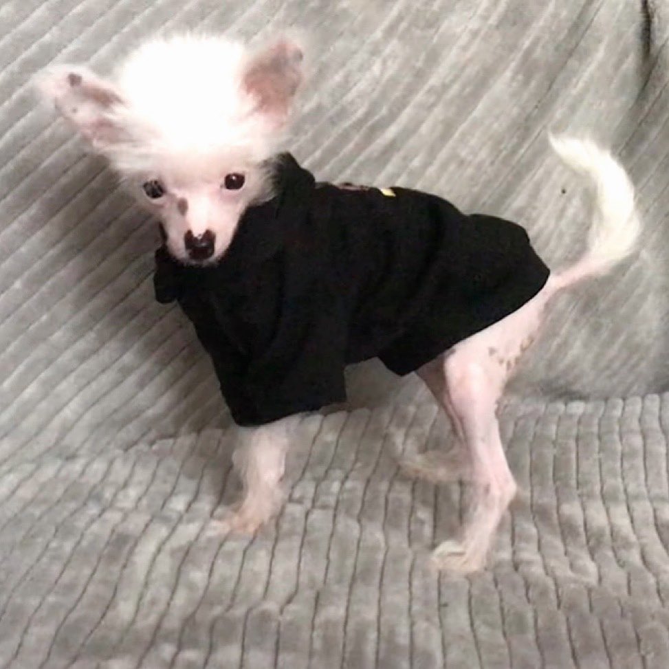Lili