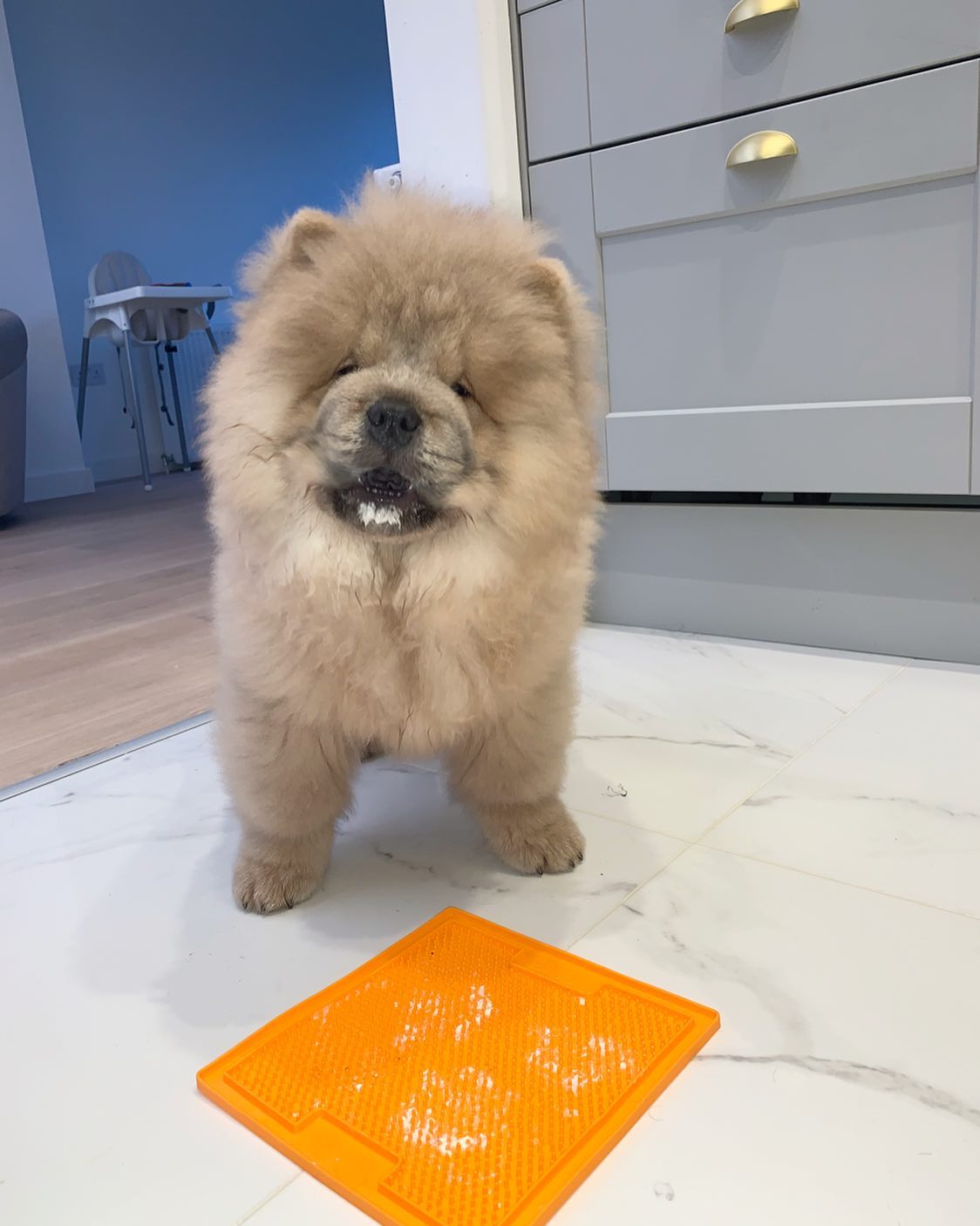 Coco