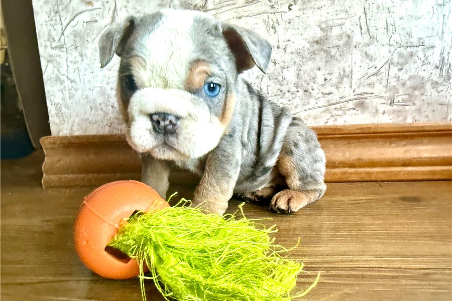 Precious