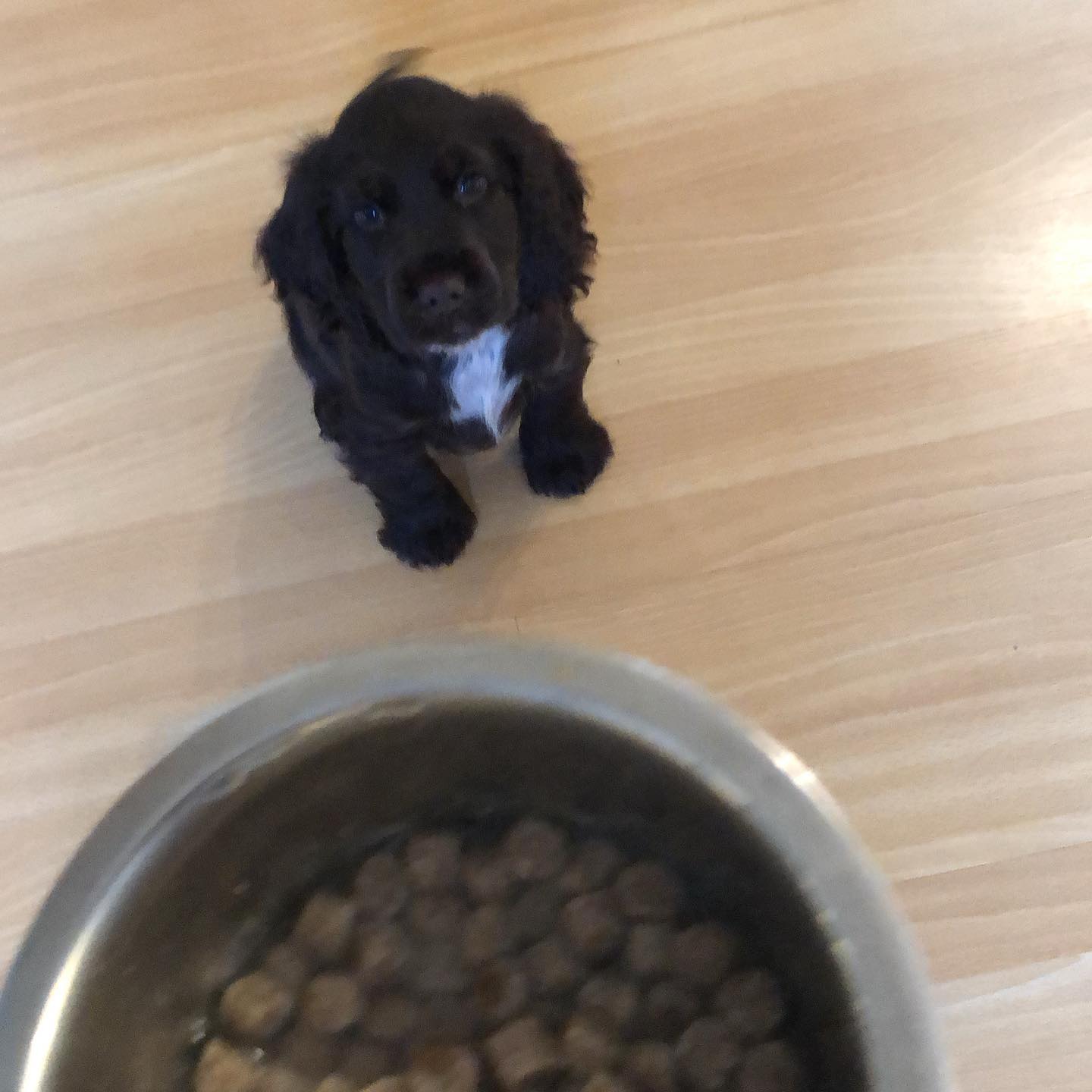 Milo