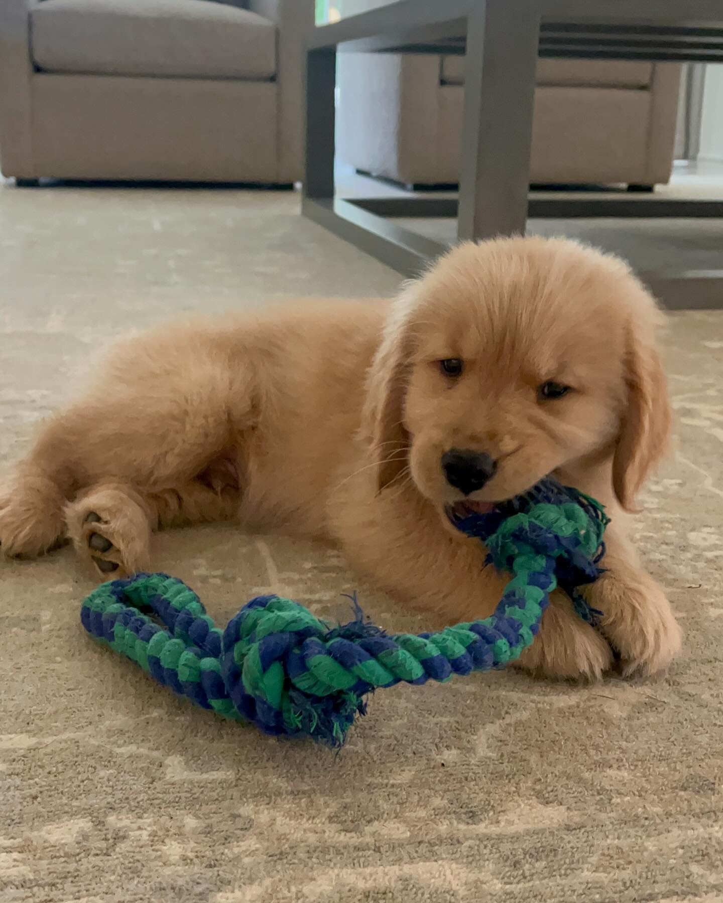 Nash