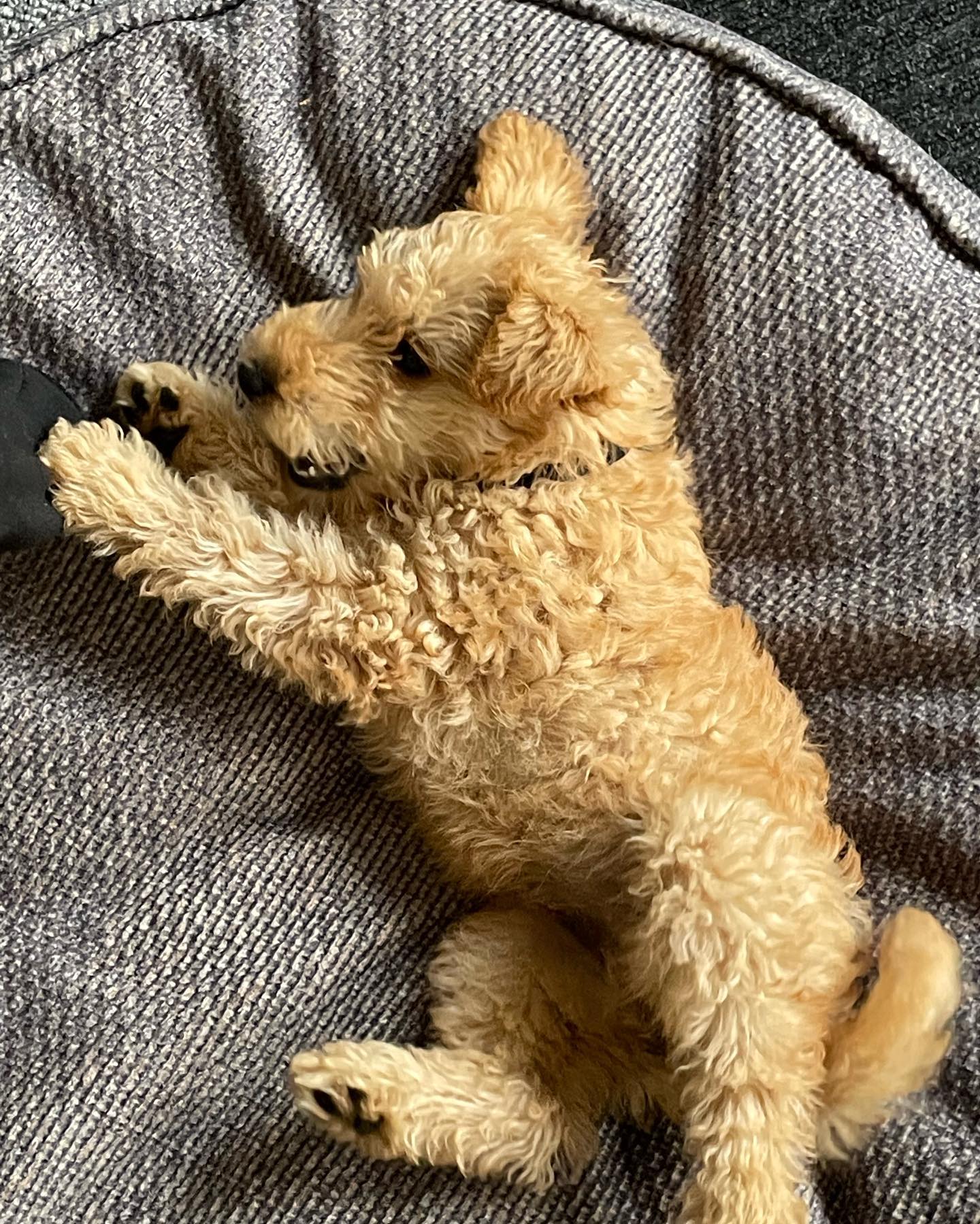 Snug