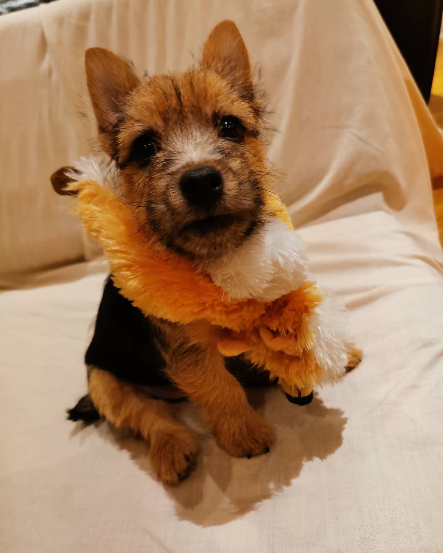 Chester