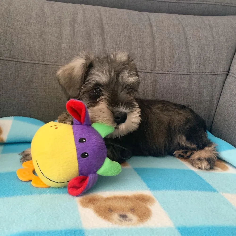 Bobby