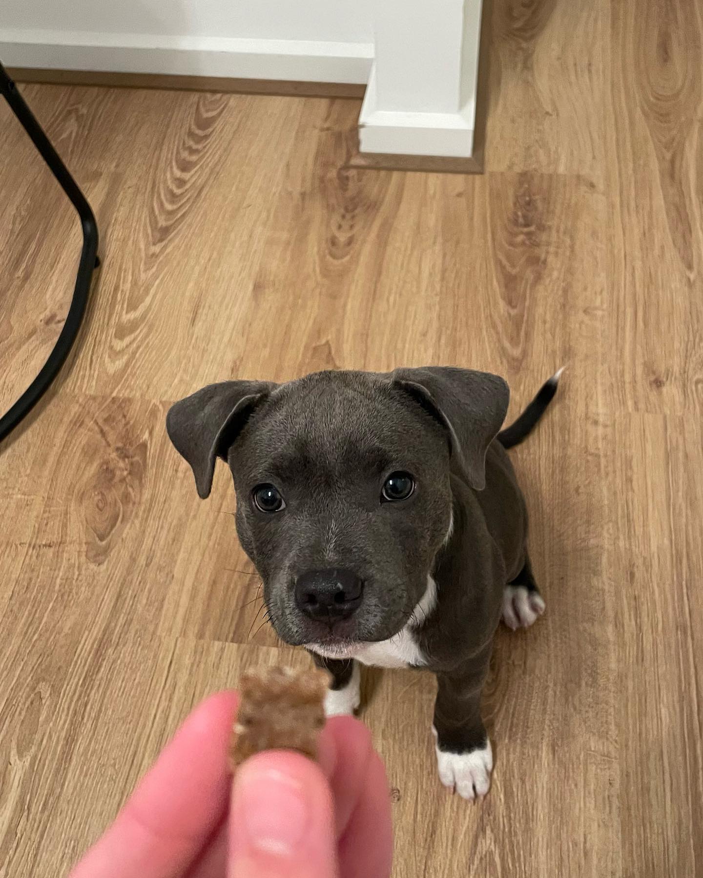 Zeke
