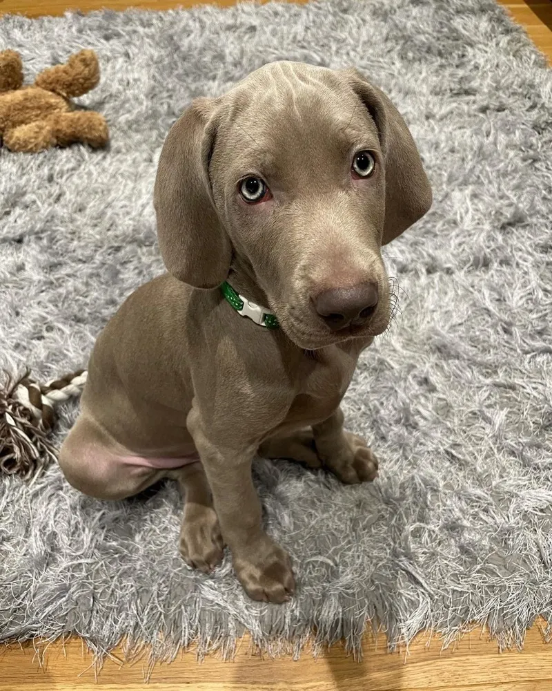 Lenny