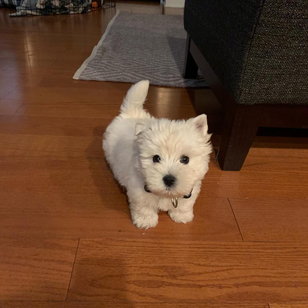 George